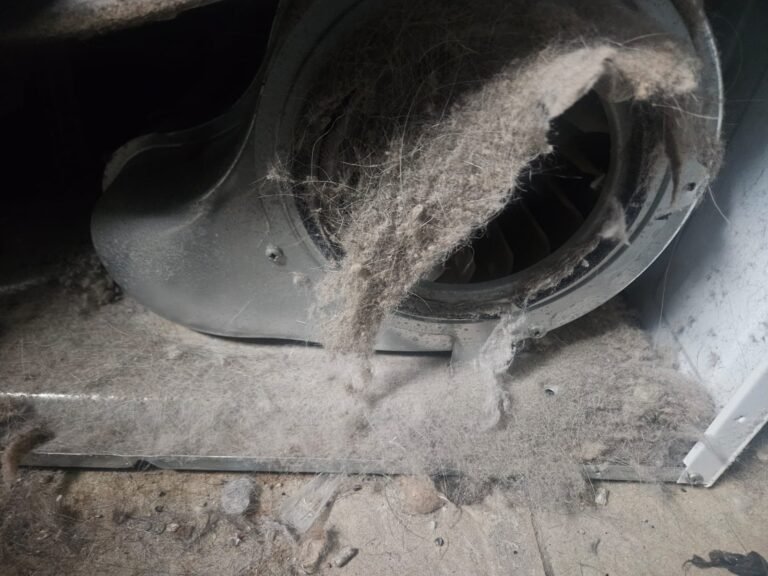 Dryer Vent Safety: Why Annual Maintenance Prevents Fires in Richmond Hill Homes